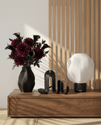 AMINI STRIA Core Set - Amini