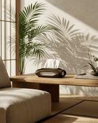 AMINI STRIA Tissue Holder in Charcoal — on a low wood table in a Japanese room with palm plant and shoji screen